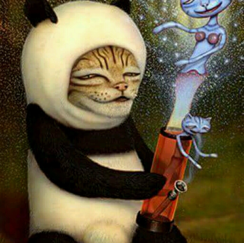 Meet your Posher, Cary